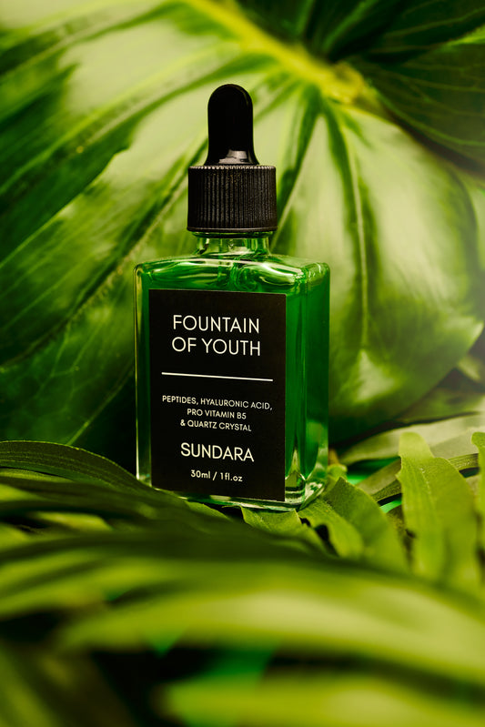 Green bottle labeled 'Fountain of Youth' by Sundara on green leaves